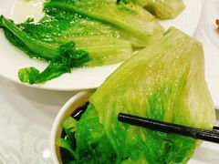 白灼生菜-南园酒家(前进路店)