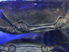 -祥鹤龙虾螃蟹
