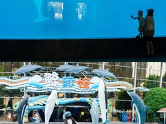 -海合安成都极地海洋公园
