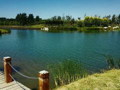 -淇河国家湿地公园