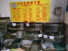 -小叶大馅饺子城