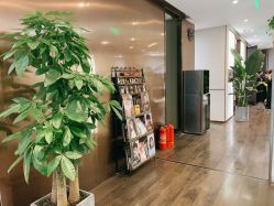 -崇尚GAVIN STYLE臻选