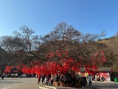 -句容茅山景区