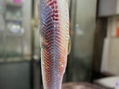 -官塘原味鱼生·潮菜大排档(潮州总店)