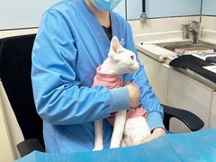 -中农国际动物医院24小时·猫科·骨科·急重症中心