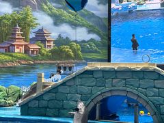 -海合安成都极地海洋公园