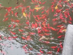 -包公祠