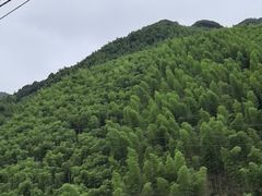 -将军关探险漂流