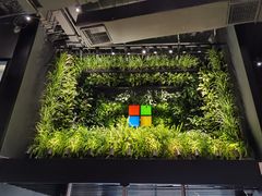 -微软中国有限公司(上海分公司)