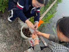 -同銮特种养殖场·龙虾垂钓