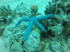 -卡帕莱度假村(西巴丹岛)