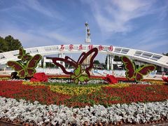 -石家庄市植物园