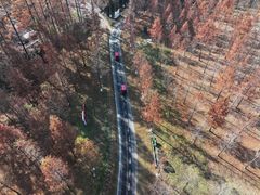 -黄海国家森林公园