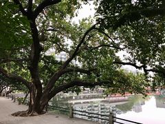 -荔湾湖公园