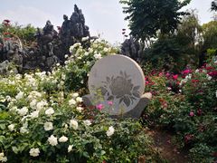 -人民公园(罗湖区)