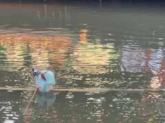 -长兴太湖图影湿地文化园