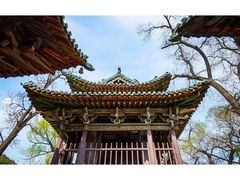 -晋祠公园