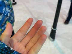 -世界之窗阿尔卑斯冰雪世界