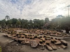 -东芭乐园