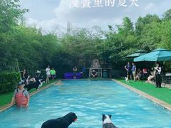 -汪说喵讲宠物乐园宠物酒店(红星美凯龙店)