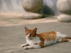 -龙华寺