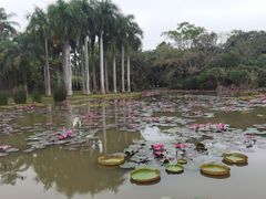 -中国科学院西双版纳热带植物园