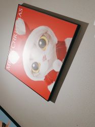 -洗脸猫·洗脸吧