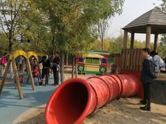 -永定河休闲森林公园