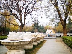 -木塔寺遗址生态公园