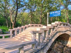 -禅宗少林·音乐大典