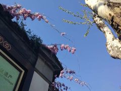 -裕兴记·三虾面(西北街总店)