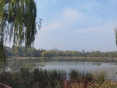 -北坞公园