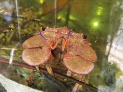 -顺德了能馆(虎门店)