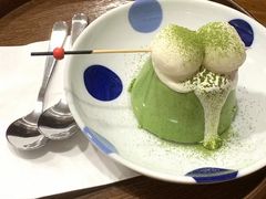 -树夏Tree Summer