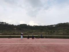 -飞凤山奥体公园