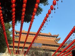 -天坛大佛