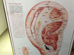 -川耳坊专业采耳馆