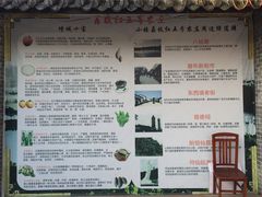-荔枝红五号农庄