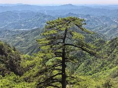 -明堂山风景区