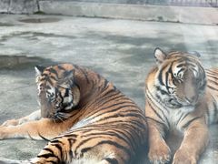 -南昌动物园