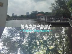 -荔湾湖公园