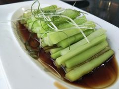 -云中小雅