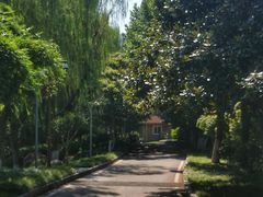 -后襄河公园