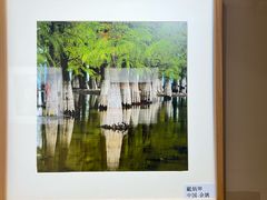 -梧桐人家中国太平国际健康颐养社区