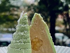 一棵伯爵茶树-猫里有甜