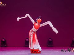 -芭芭拉舞蹈·星星演说家(珠江新城校区)