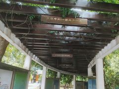 -澹台湖公园