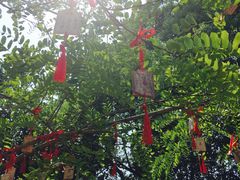 -乌镇西栅景区-月老庙