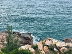 -广东惠东海龟国家级自然保护区