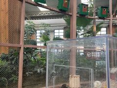 -南宫五洲植物乐园